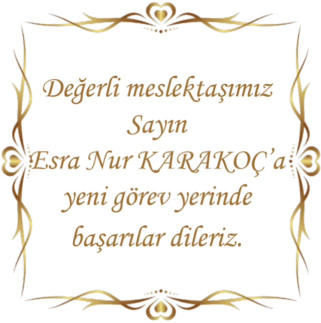 Fotoğraf 1
